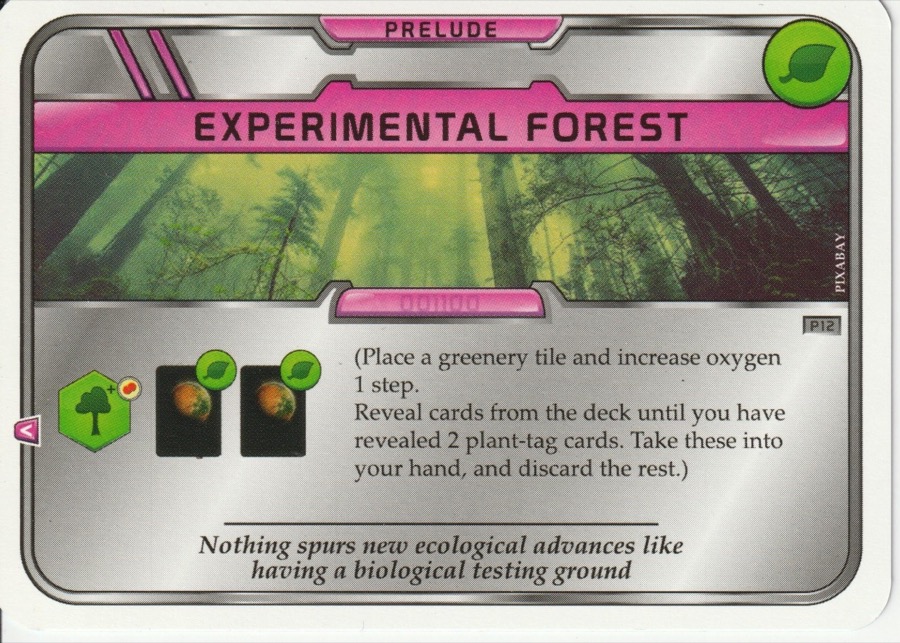 Experimental Forest