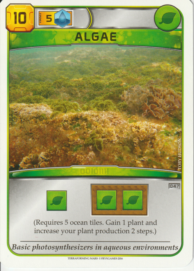 Algae