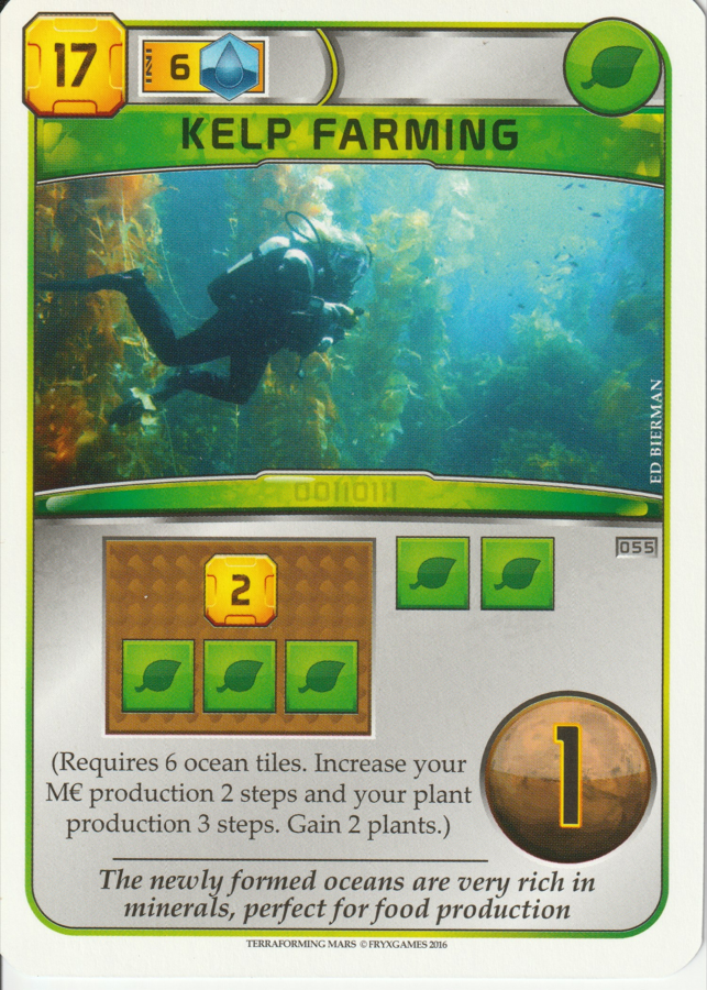 Kelp Farming