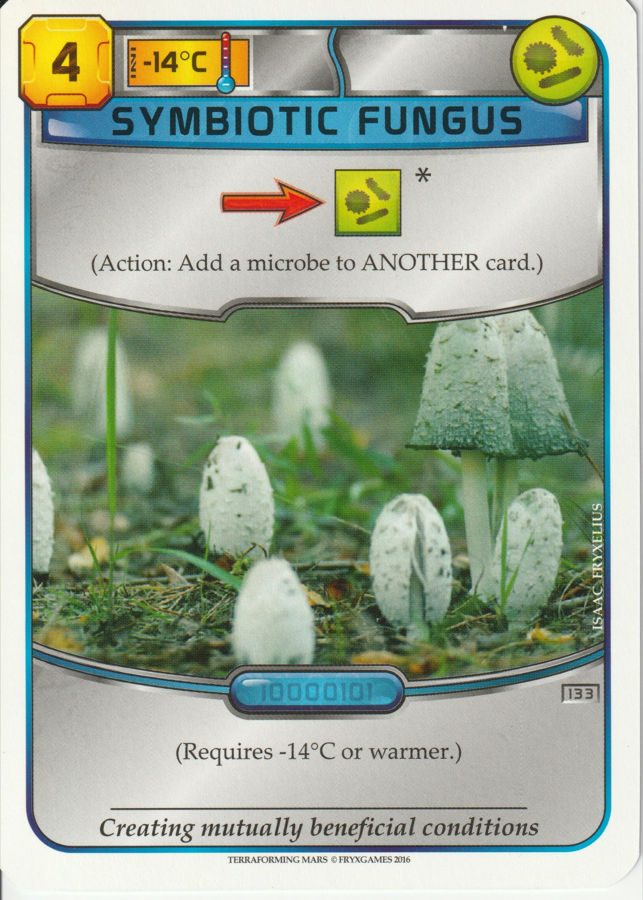 Symbiotic Fungus