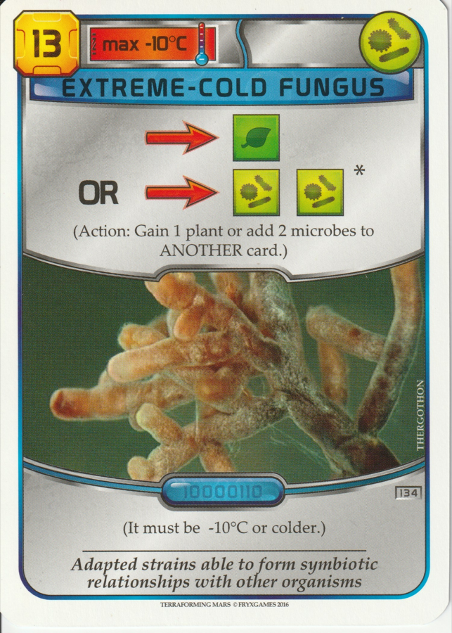 Extreme-Cold Fungus