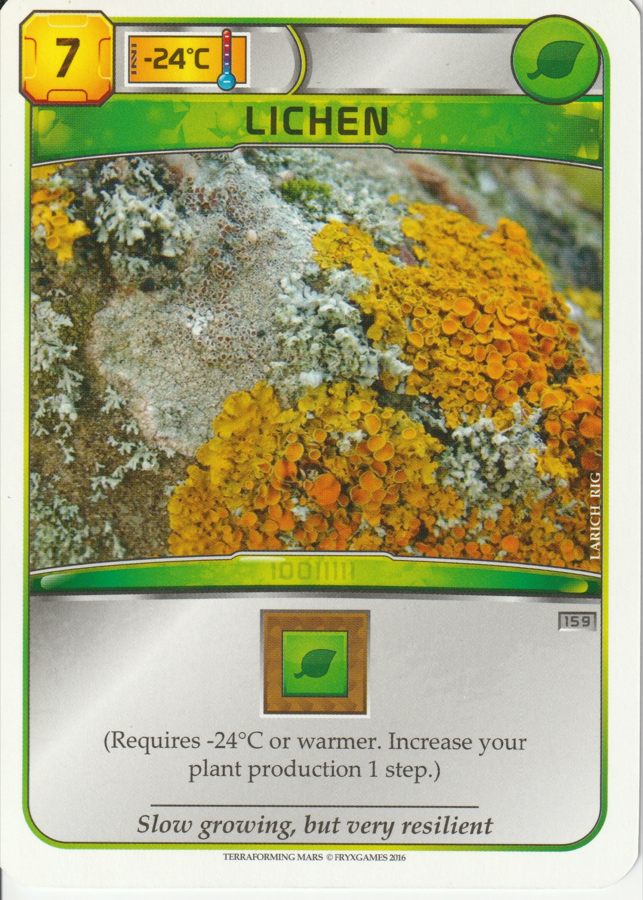 Lichen