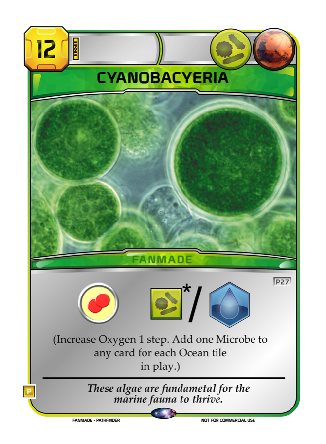 Cyanobacteria