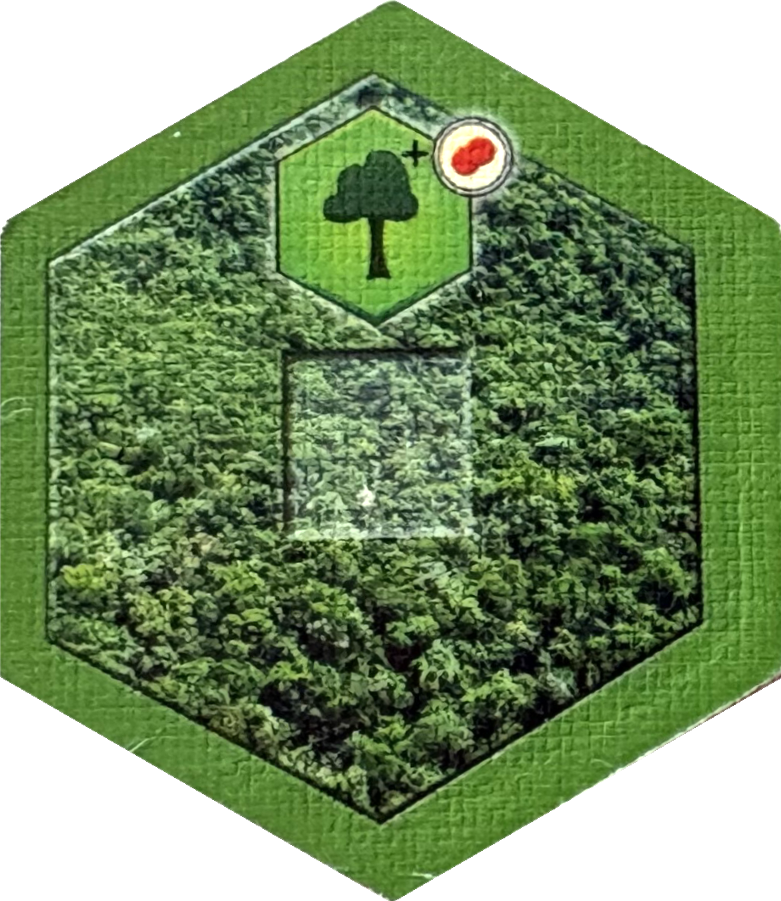 Base Forest