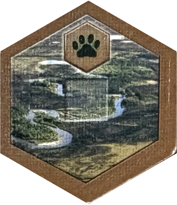 Base Special Tile 05